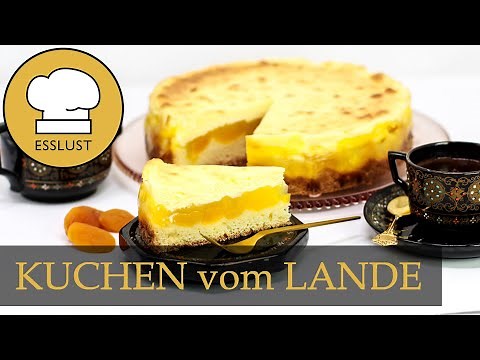 RIAS KUCHEN vom LANDE - Aprikosenkuchen mit Schmandguss