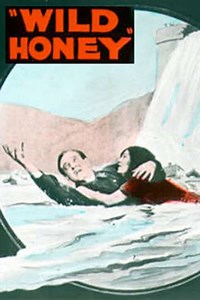 Wild Honey (1922) - Movie