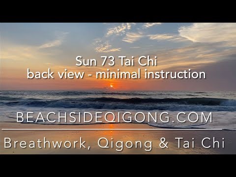 Sun 73 Tai Chi Full Routine Flow Back View - minimal directions