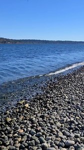Sometimes you just need a beach day or two or three. ♥️ #peaceful #place #sound #wellness #beachlife #islandlife #ocean | Healing Hearts