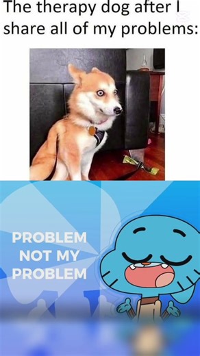 Not my problem🤣 #memes #foryou #funny #foryoupage #therapy