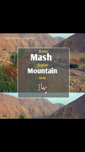 Learn the Fascinating Brahui Language | Word of the Day