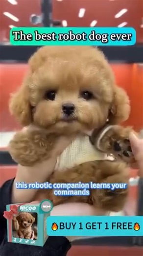 🐶✨ Meet NICOOTOY – Your Child’s New Best Friend! ✨🤖 Looking for the perfect gift that brings endless joy without the mess? NICOOTOY’s Realistic Robot Puppy walks, wags, barks, and reacts just like a real dog—your little one won’t want to put it down! 💛 Realistic Movements – Lifelike walking, tail-wagging, and playful behavior 🗣️ Interactive & Smart – Responds to touch and voice 🌱 Eco-Friendly Build – Handmade details recyclable skeleton 🎁 Perfect for Kids – Soft, cuddly, and instantly lova