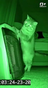 Hero Cat Topples Sparking Heater, Prevents House Fire | Night Vision Rescue 🐾🔥 #Shorts