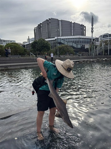 Spooling Your Reel: Top Tips for Fishing Success