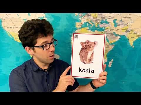 How to Pronounce Koala in English