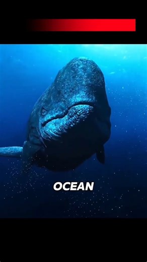 WildPaws on Instagram: "This video provides an animated comparison of the two prehistoric giants: Megalodon Vs Levyatan #BestScene"