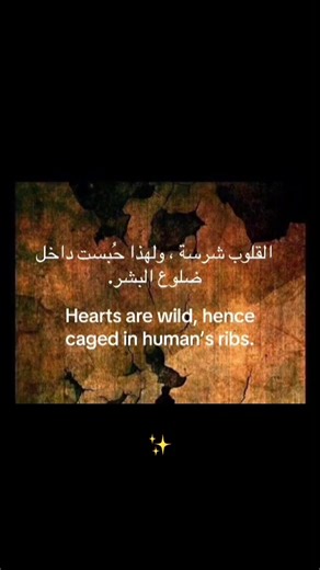 ‏#fyp #شاكر_محظور_دلوقتي #viral #اكسبلور