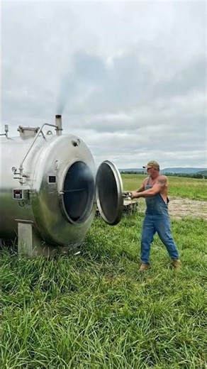 💖Plush Toy Tiger Feel Good!🧸#animals #wildlife