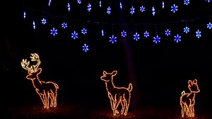 27K views · 3K reactions | It's the most wonderful time of the year! Cities and towns all around Arkansas are decking the halls and bringing the holiday spirit to life. Follow the Trail of Holiday Lights across the state for an unforgettable winter wonderland experience. #VisitArkansas | Arkansas - The Natural State | Facebook