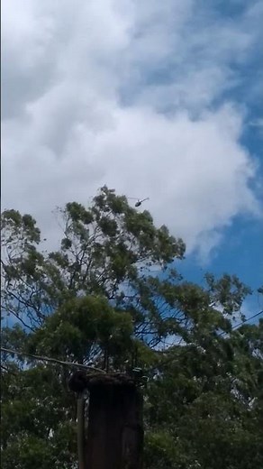 Helicoptero Robinson R22 Beta II 2010 OE XPH