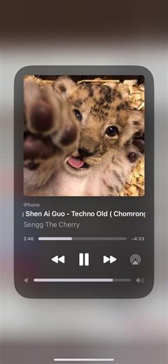 Sengg - Bi Jing Shen Ai Guo: A Techno Old Mix