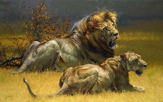 油画写实野生动物艺术的魅力 高清视频欣赏