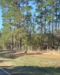 19K views · 133 reactions | If you want the best deer collision prevention mechanism known to man, get some @intercotires BOGGERS! I can’t tell you how many times I’ve witnessed deer BOLT off the side of the road with the sound of us rolling up.  First time I finally caught it on camera 落藍 #boggers #deercollision #theyseemerollin #triplexlife | Triple-X Motorsports & Outdoors - RekjavicXXX | Facebook