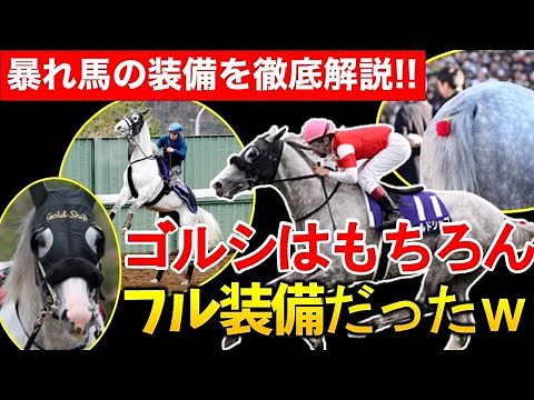 ゴルシ好き必見！ゴールドシップの装備を徹底解説