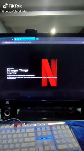 Tutorial Live Netflix Di Discord