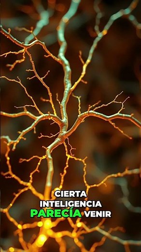 Neural Networks: Thinking Like Humans #AI #machinelearning #neuralnetworks