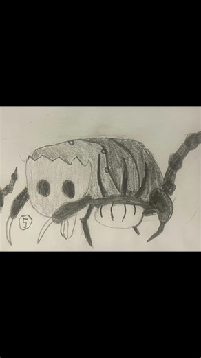 What is nosk ? Ep 2 : Cloth