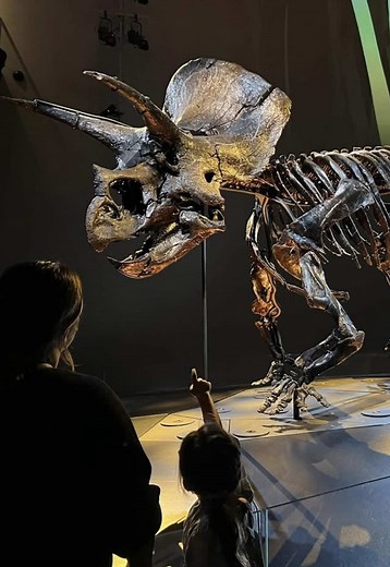 Melbourne with kidz on TikTok