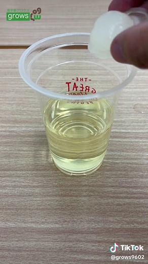 中学生の自由研究：油の密度実験