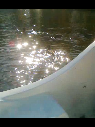 Ностальгую за літом, катамаранами....