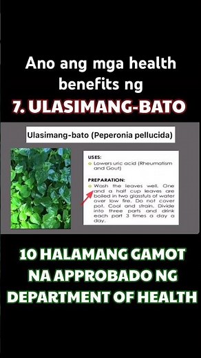 ULASIMANG-BATO HEALTH BENEFITS TAGALOG | 10 herbal plants approved by DOH. #alternativemedicine