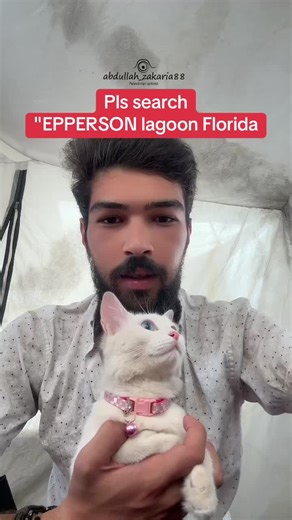 Explore EPPERSON Lagoon: Florida's Largest Pool Experience