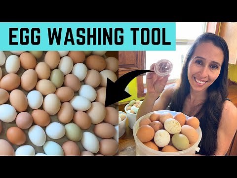 Silicone Egg Washing Tool Honest Review For Backyard Chicken Eggs