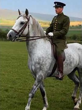 Velký koníček Václava Morávka #history