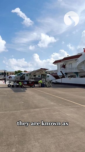 15K views · 213 reactions | Here’s a fun aviation fact: aircraft registrations are assigned alphabetically, ensuring every plane has its own unique identity. It’s one of the many systems that keep the skies organized and safe. Learn more aviation insights when you fly with Tropic Air. ✈️ | Tropic Air Belize | Facebook