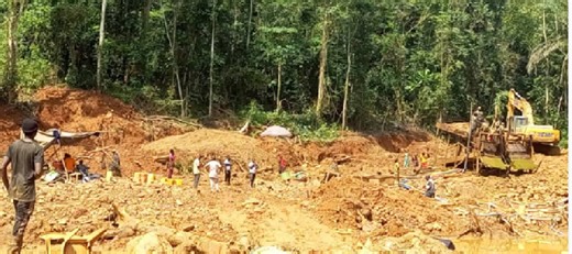 Galamsey in forest reserves surged 70% in three years - Forestry Commission