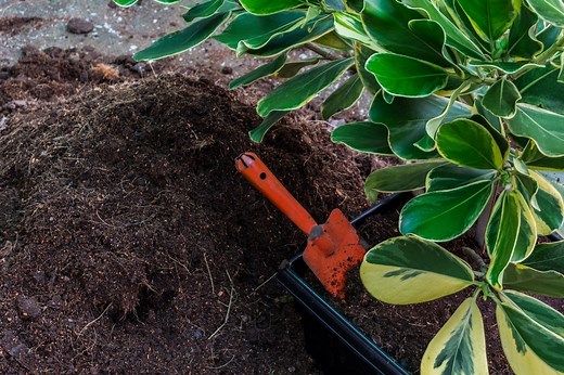 Using Mushroom Soil For Gardens - Grower Today