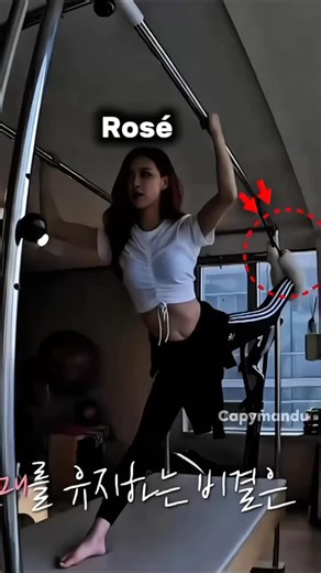 Capymandu on Instagram: "Members Pilates while Lisa boxing 🥊 #lisablackpink #roseblackpink #jennieblackpink"