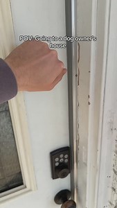 Oliver owns the house I just pay the mortgage • • #dogs #dogsofinstagram #dogmom #girlandadoodle #dogdad #dogowners #oliver #lovehim #goldendoodle #doggosofinsta #petsofinstagram #petowner #funnydog #goodboy #doglife #pets #petlovers #dogcomedy #relatable | Agirlandadoodle