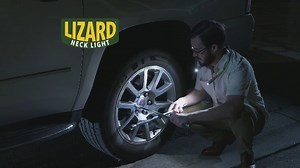 Watch Lizard Neck Light Book Light on Amazon Live