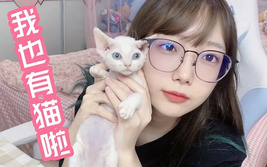 给大家介绍一下家庭新成员【baka爱】