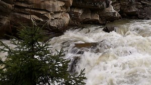 Mountain stream with waterfall - Free Stock Video