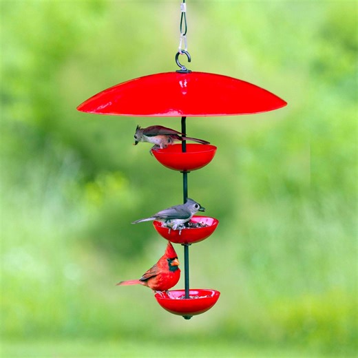 Triple Poppy Feeder | Glass Bird Feeder for Songbirds, Garden Yard Decor and Unique Gift for Her - Etsy
