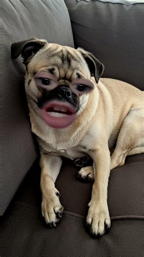 i cant poop💩🤣💀