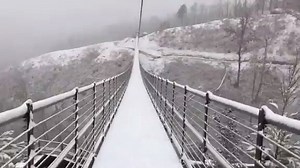 ❄️⛄ SNOWY BRIDGE 🥶 Flakes were falling in the Smoky Mountains of East Tennessee Tuesday morning, creating a winter wonderland across North America's longest pedestrian suspension bridge. 👉 STORY HERE: http://bit.ly/2qPJM3r | WPTV