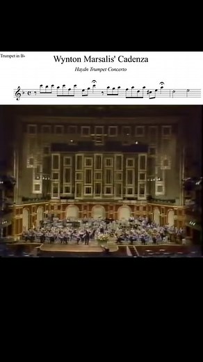 😱 Marsalis: Haydn Trumpet Concerto Cadenza . . . . . . . . . . . . #trumpetrecords #trumpet #trumpeter #trompeta #trumpeter #trompetista #trumpetist #trumpeters #trumpetlove #trumpette #trumpetlife #trumpets #trumpetsection #trompete #trumpetvine #fyp #music #incredible | Trumpet Records