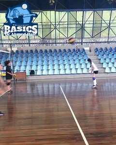 55K views · 1.1K reactions | Volleyball Basics on Reels | Facebook