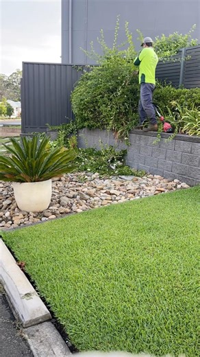 🌿 Bushes getting a little wild? We shape them right. ✂️ #davidsmowingsydney