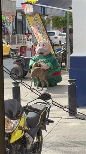 Dr. Simi Mascot Shares a Hug With Stray Dog