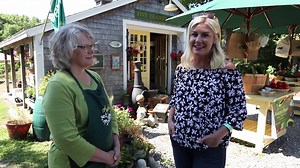 1.6K views · 12 reactions | The quaint community of Georgetown. Plus a little convertible karaoke with musician Pete Miller. Enjoy! Chris Ogden/Video Carrie Lonsdale/AP | Maine Life Media | Facebook