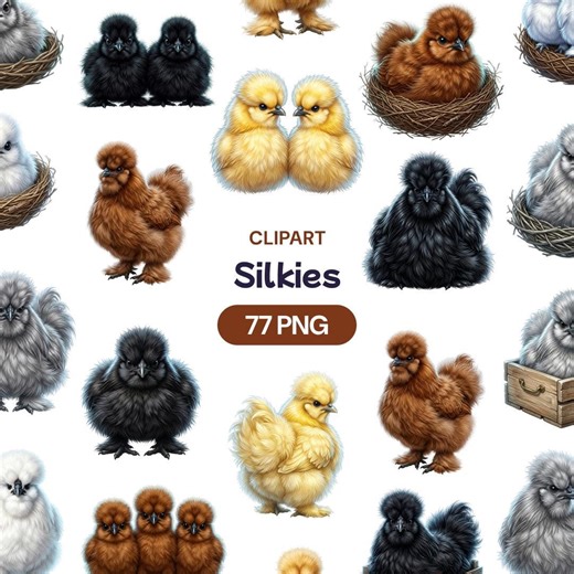 Silkie Chicken Clipart, Fluffy Chick PNG, Watercolor Poultry Graphic, Cute Farm Bird Art, Country Pet