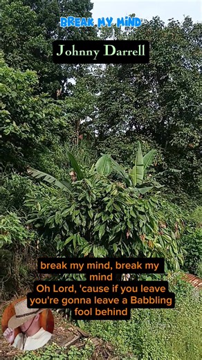 Break My Mind - Johnny Darrell - Country Classics - TJYCM will take you back to Yesterday's REAL COUNTRY MUSIC #oldschool #countryclassics #fblifestyle | The Jukebox, You, & Country Music