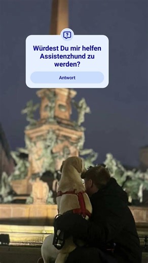 #zusammenarbeiten #ausbildung #cute #hund . Wenn Du uns helfen möchtest, schau auf unseren Link