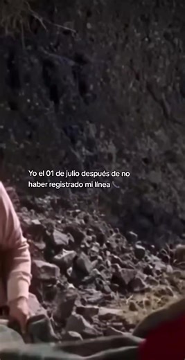 Señales del Universo y Registro de Línea