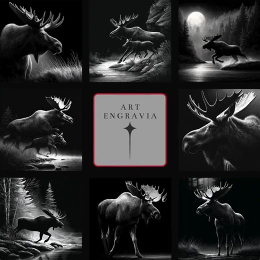 20 Moose Laser Engraving Designs for Slate Coasters - PNG Files for Xtool & Glowforge, Commercial Use - Etsy